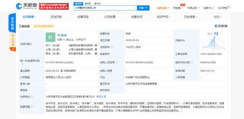 京东关联电竞公司战略入股北京霓旌科技，业务版图拓展至经济信息咨询新领域